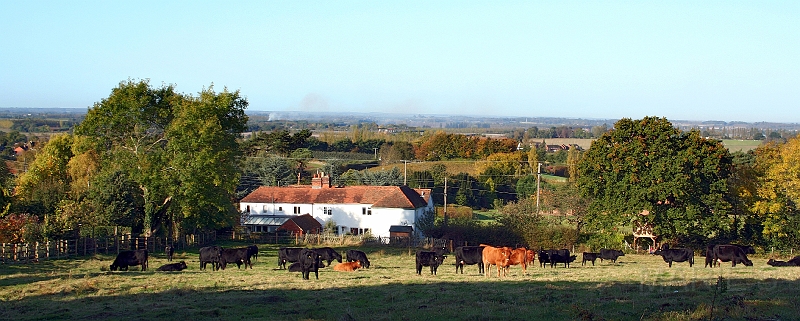 Houses Dawes Road.jpg